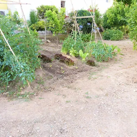 Hort De La Cinteta 別荘