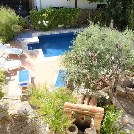 Hort De La Cinteta Alcover