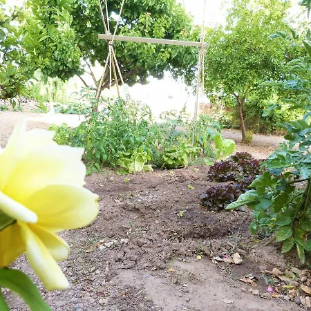 Hort De La Cinteta *