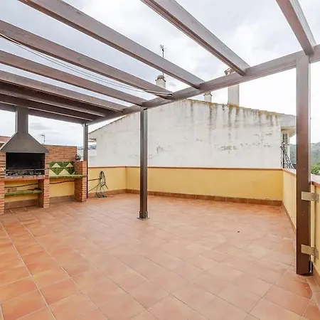 Hort De La Cinteta Alcover