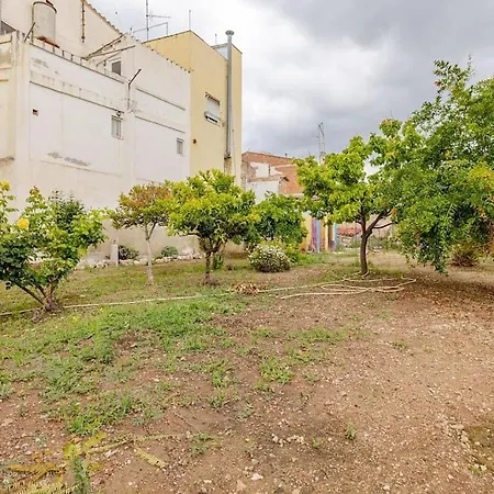 Hort De La Cinteta Alcover